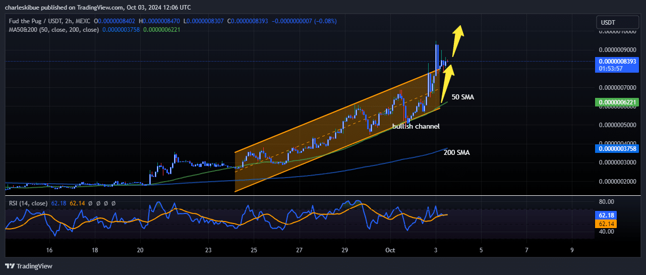 Fud The Pug Price