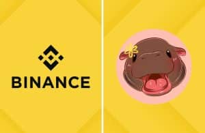 Is It Too Late To Buy MOODENG? Moo Deng Price Soars 42% Amid Binance Perpetual Listing And This might Be The Next Crypto To Explode