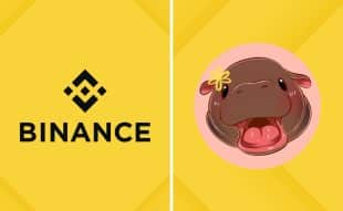 Is It Too Late To Buy MOODENG? Moo Deng Price Soars 42% Amid Binance Perpetual Listing And This might Be The Next Crypto To Explode