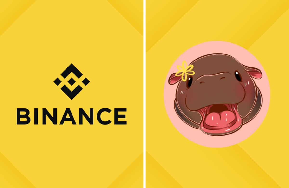 Moo Deng Price Prediction: MOODENG Soars 98% On Binance Perpetual Contract As This Meme Coin Casino ICO Heads For $1M