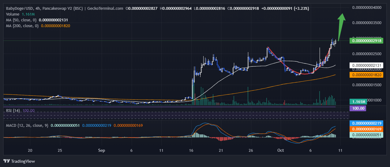 Baby Doge Coin Price Chart Analysis Source: GeckoTerminal.com