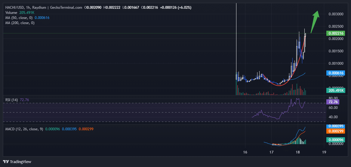 Hachiko Price Chart Analysis Source: GeckoTerminal.com