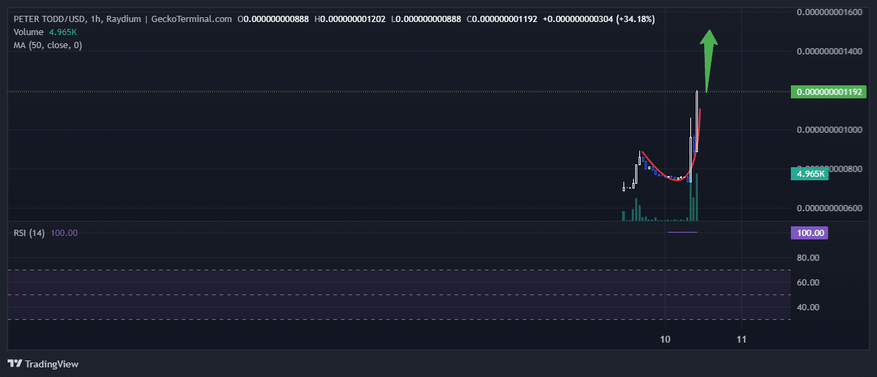 Peter Todd Price Chart Analysis Source: GeckoTerminal.com