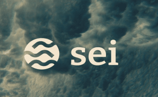 SEI