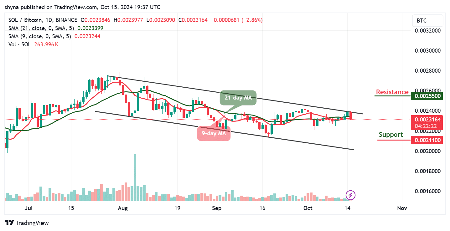 Solana Price Prediction for Today, October 15 - SOL Technical Analysis