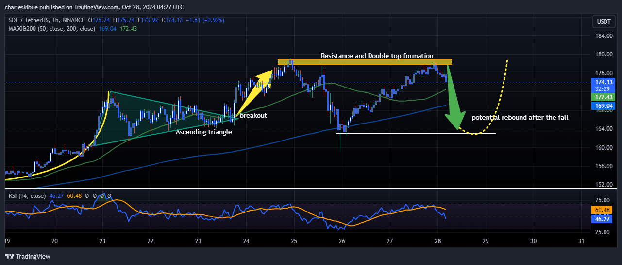 Solana Value Prediction: SOL Pumps 10% In A Month, However Consultants Say Take into account This Vote-To-Earn Meme Coin For Parabolic Potential