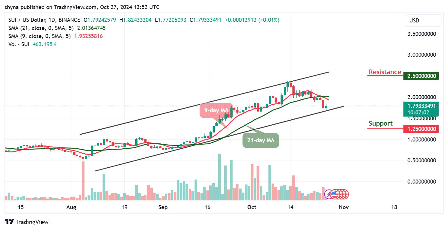 Sui Price Prediction for Today, October 27 – SUI Technical Analysis