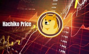 Hachiko Price