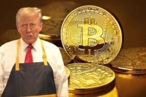 Bitcoin price surges after Donald Trump election win.