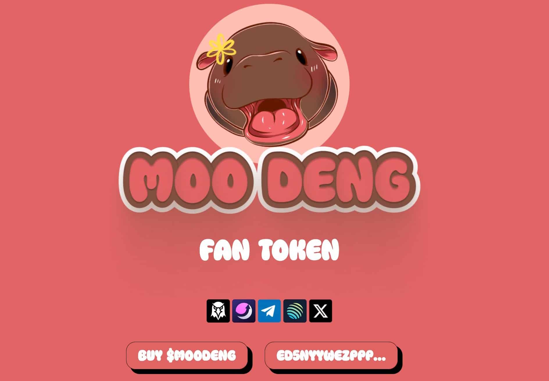 Moo Deng