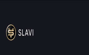 Slavi coin