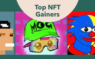 Top NFT Gainers