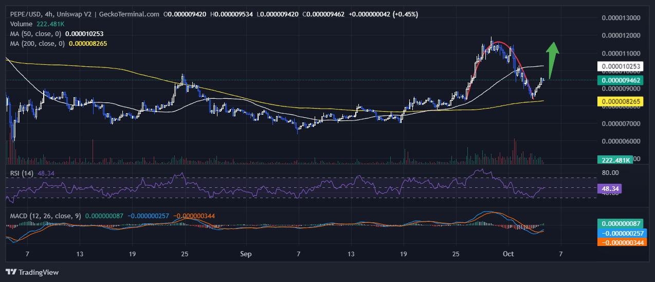 Pepe Price Chart Analysis Source: GeckoTerminal.com