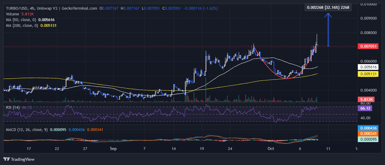 Turbo Price Chart Analysis Source: GeckoTerminal.com