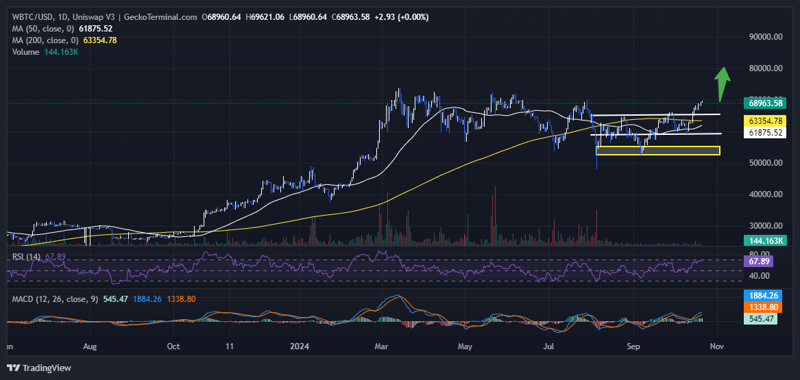 Bitcoin Price Chart Analysis Source: GeckoTerminal.com