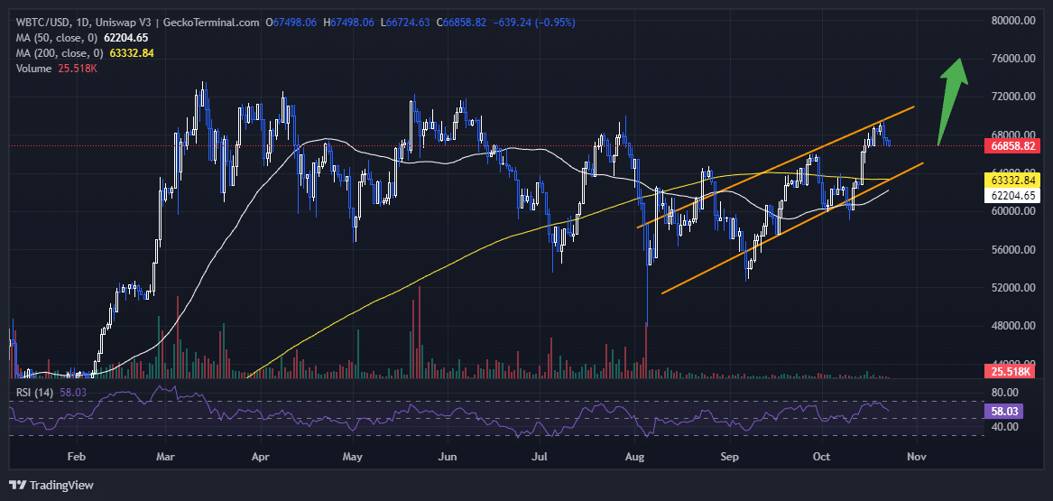 Bitcoin Price Chart Analysis Source: GeckoTerminal.com