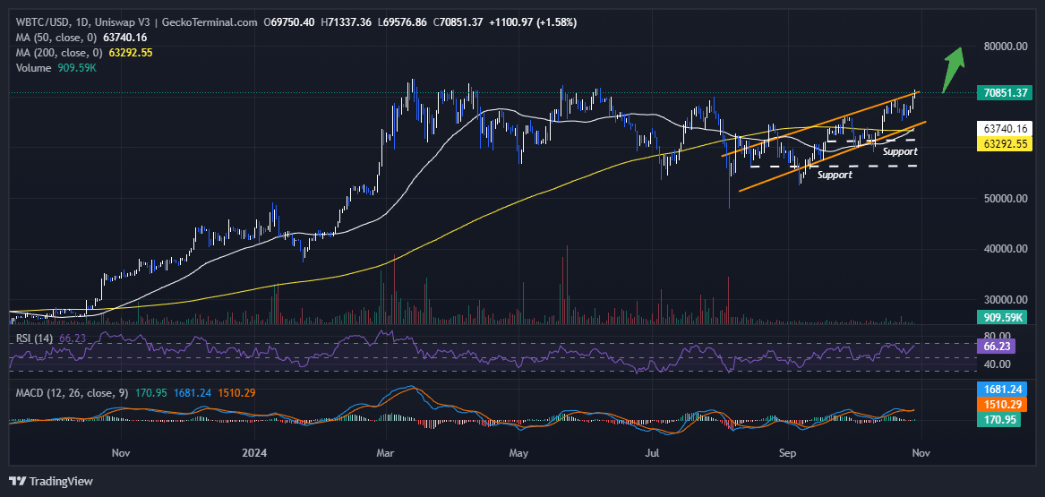 Bitcoin Price Chart Analysis Source: GeckoTerminal.com