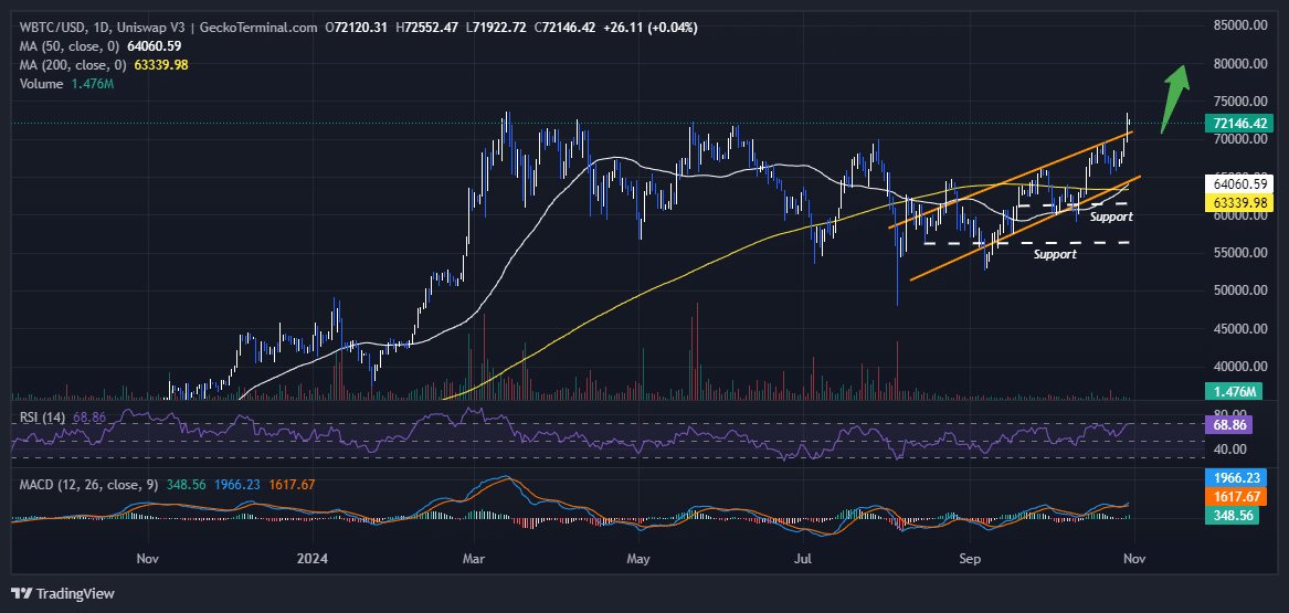 Bitcoin Price Analysis Chart Analysis Source: GeckoTerminal.com