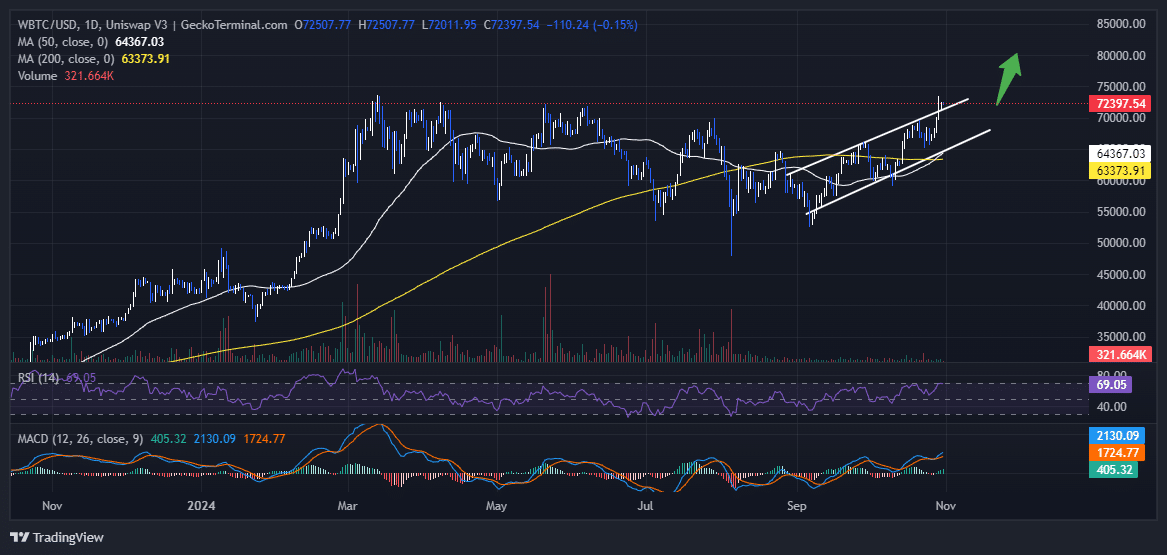 Bitcoin Price Chart Analysis Source:GeckoTerminal.com