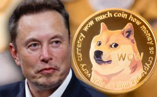 Doge price