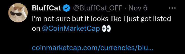 Bluffcat tweet