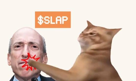 CatSlap Complete Analysis