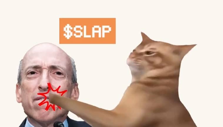 CatSlap Complete Analysis