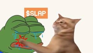 CatSlap