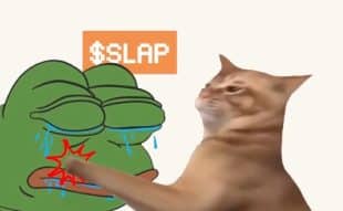 CatSlap