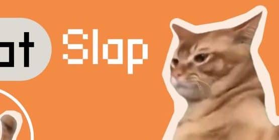 Catslap