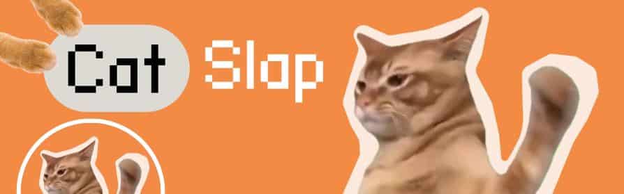 Catslap