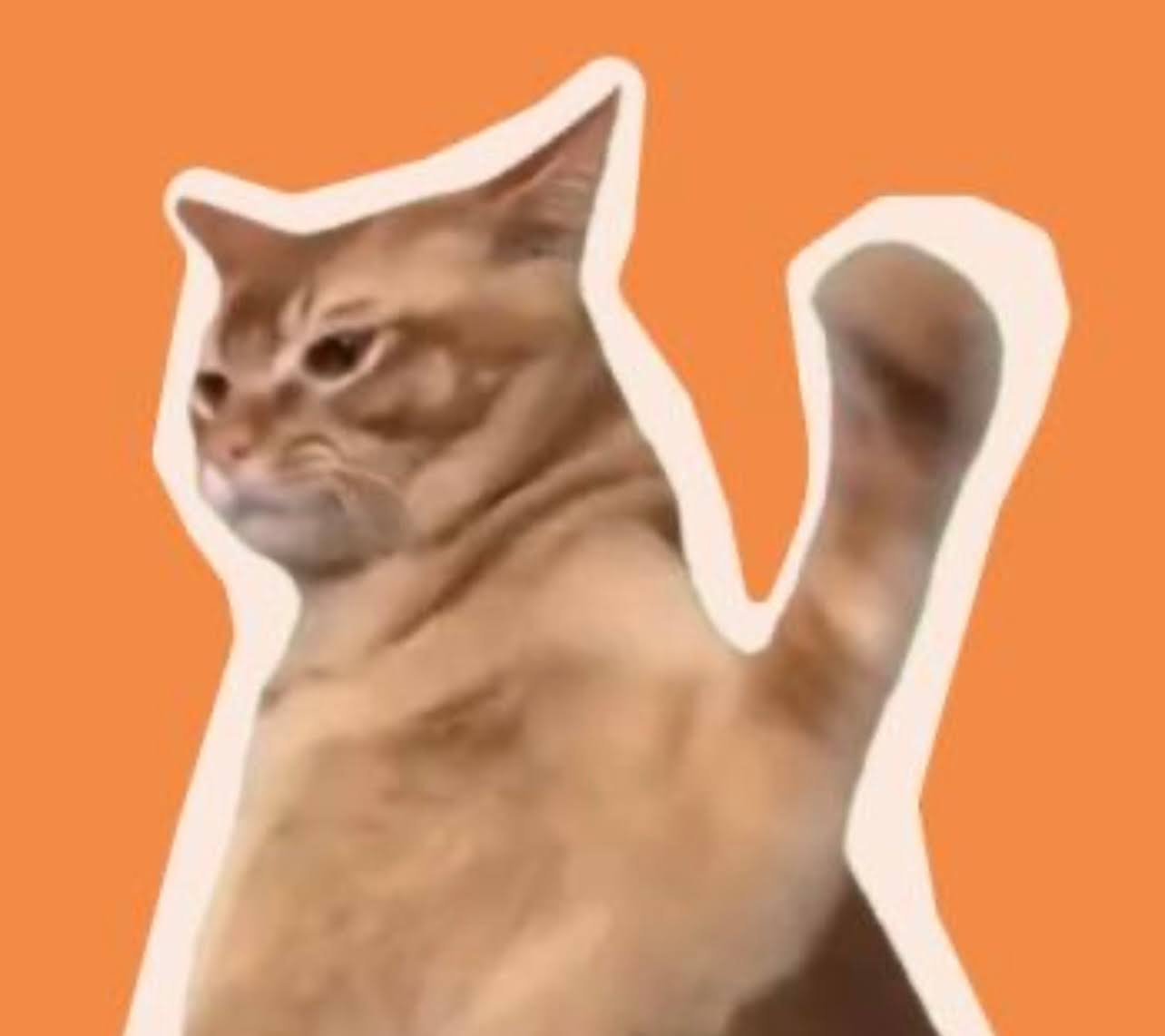 Catslap