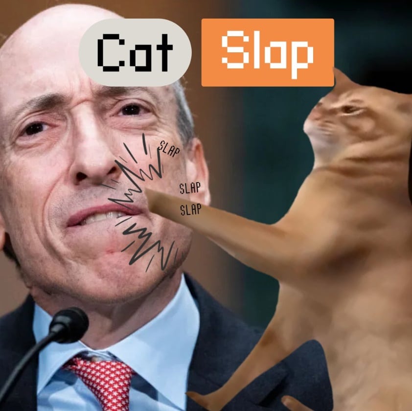 Catslap