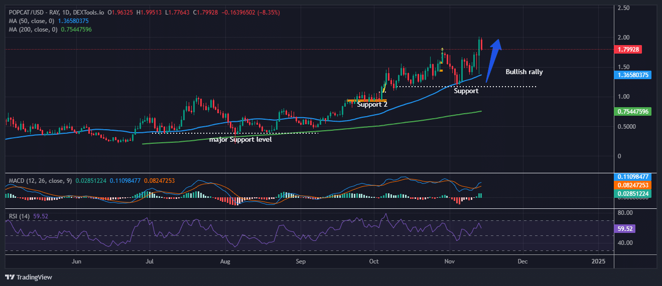 Popcat price