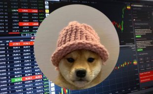 Dogwifhat price