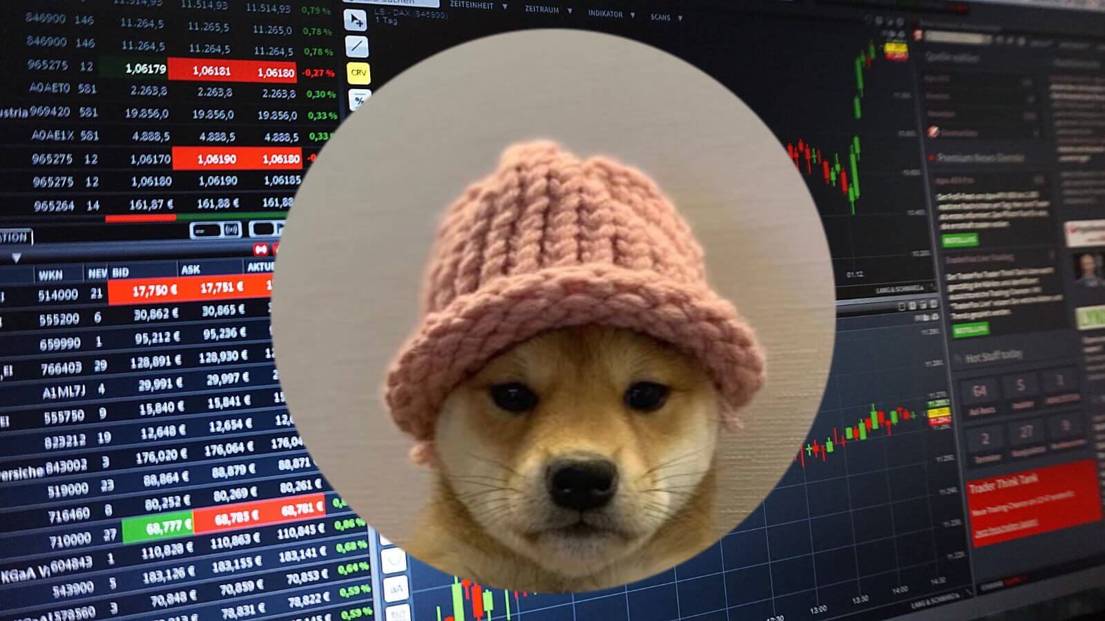 Dogwifhat price