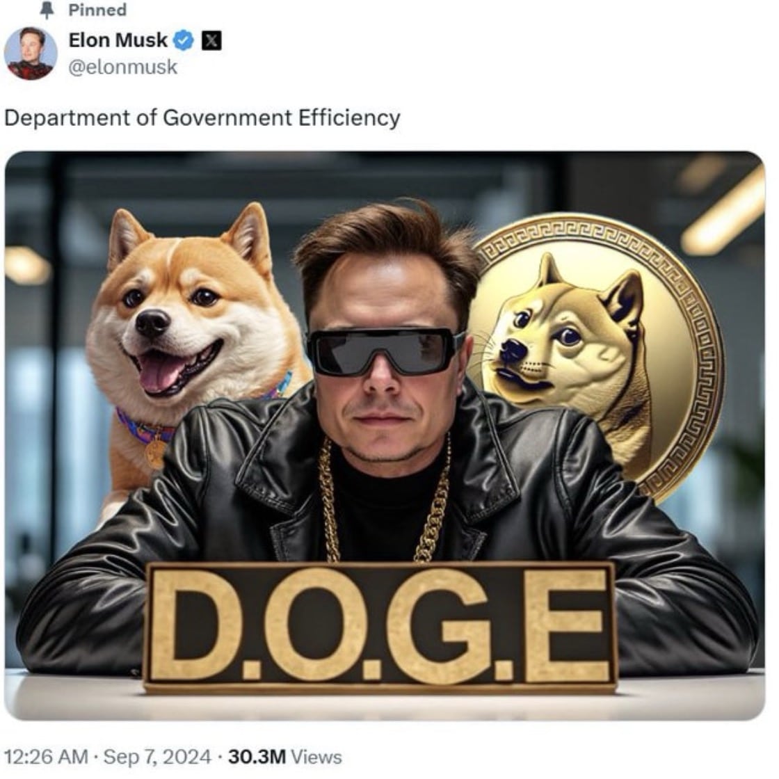 Elon Musk Department of Efficiency