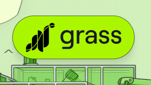 Grass price