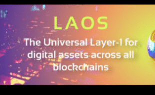 Laos network