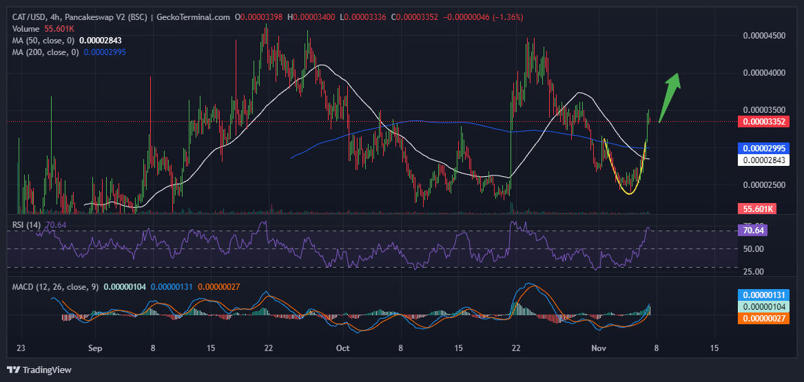 Simon’s Cat Price Chart Analysis Chart Source: GeckoTerminal