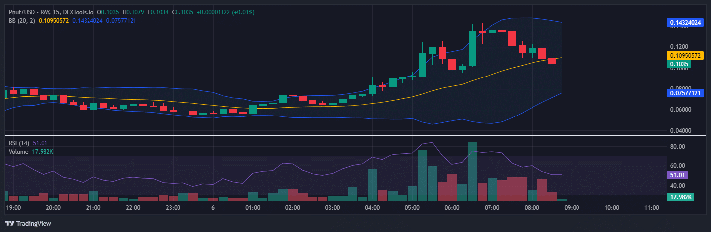 Peanut The Squirrel Price Prediction