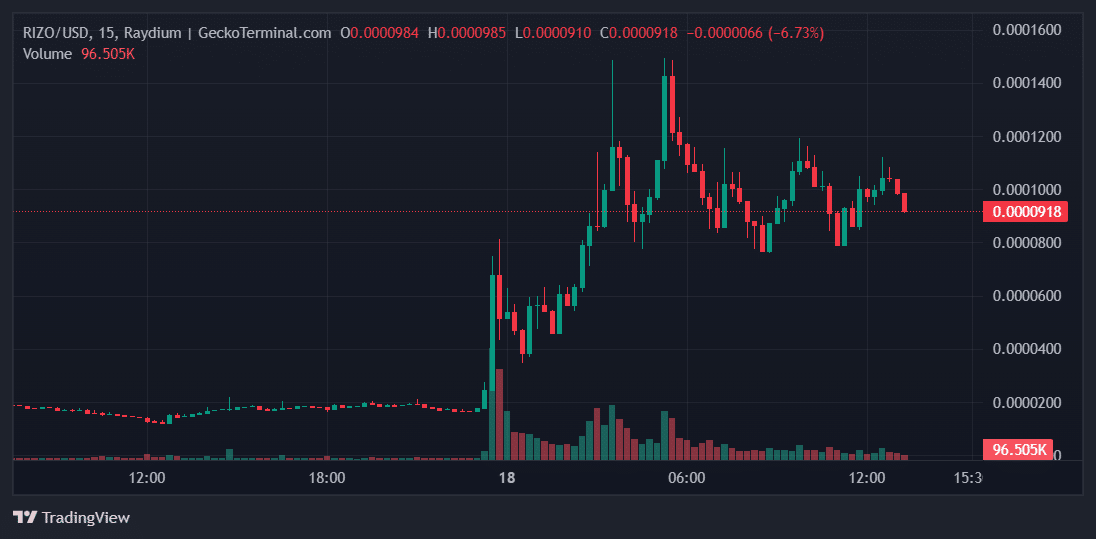 RIZO Price Chart