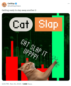 Catslap tweet