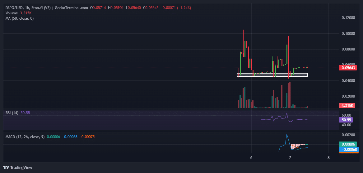 Papo Ninja Price Chart Analysis Source: GeckoTerminal