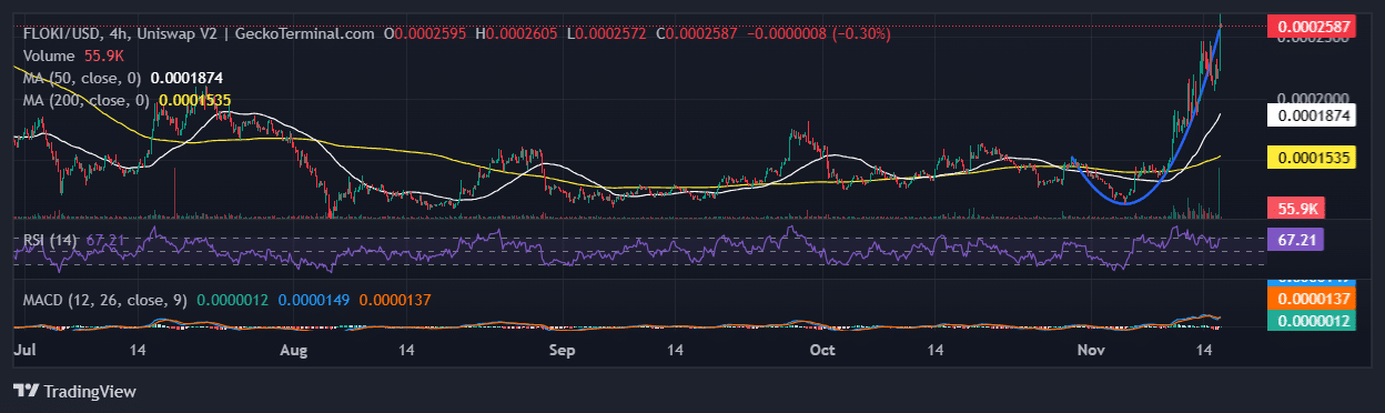 Floki Price Chart Analysis Source: GeckoTerminal