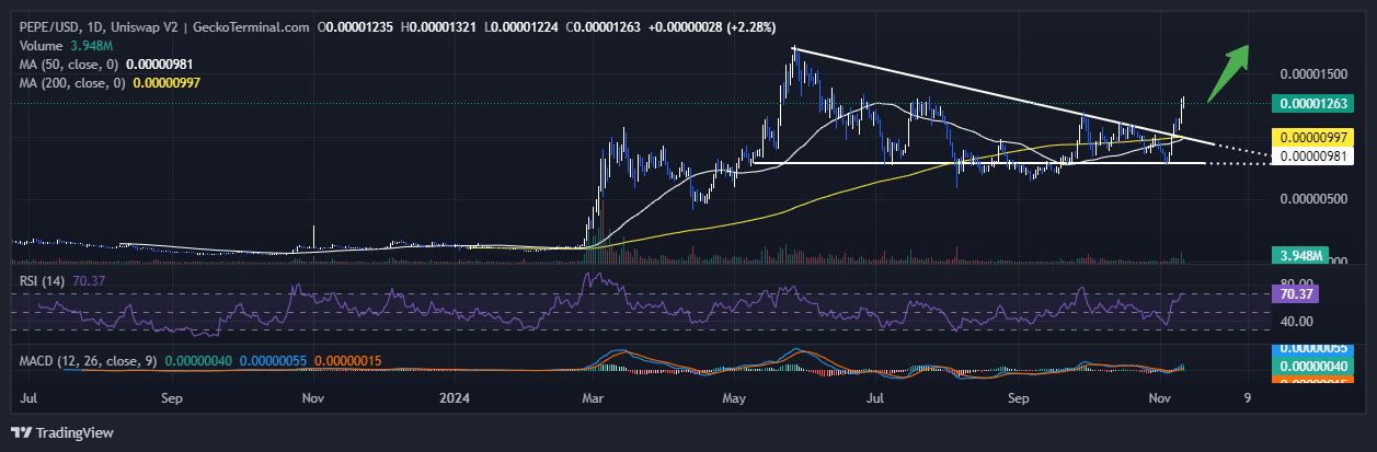 Pepe Price Chart Analysis Source: GeckoTerminal