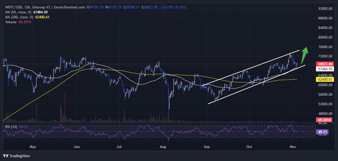 bitcoin price Chart Analysis Source: GeckoTerminal.com