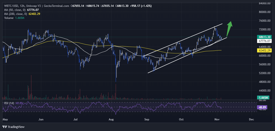 Bitcoin Price Chart Analysis Source: GeckoTerminal