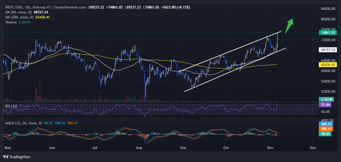 Bitcoin Price Chart Analysis Source: GeckoTerminal