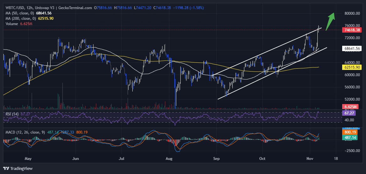 Bitcoin Price Chart Analysis Source: GeckoTerminal